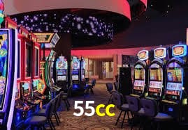 Plataforma 55cc - Segurança SSL 256-bit